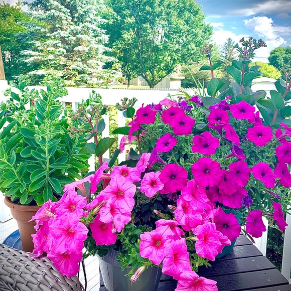 Meet the Posher Tina - Picture 4 of 7